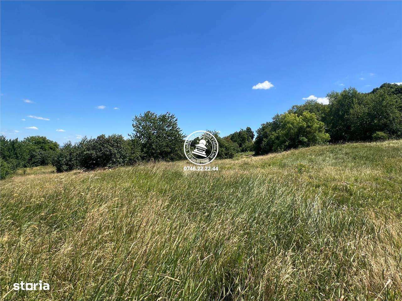 Teren de vanzare Tomesti Goruni  17.475 mp langa padure doar 7 euro mp - Imagine principală: 4/13