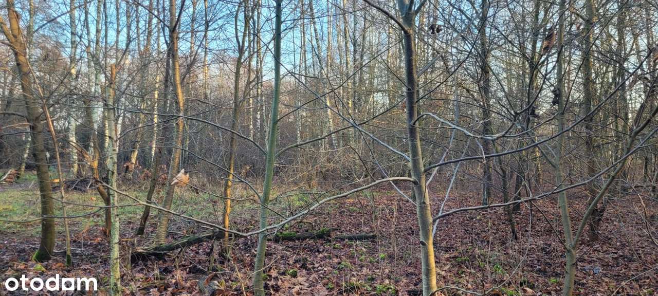 Działka budowlana, ciche i spokojne miejsce Grodzisk Mazowiecki.-9