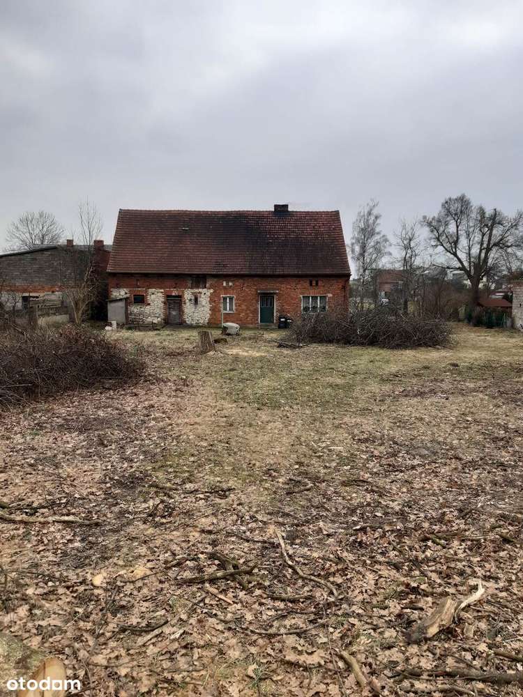 Dom do generalnego remontu z dużą działką budowlano-rolną-2