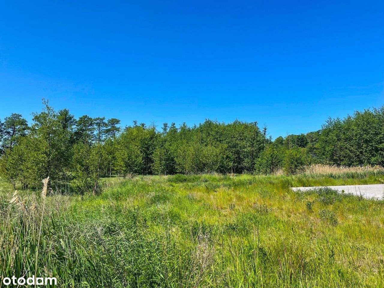 UNIKALNA Działka w Kórniku ! PnB ! Media : W,P,K - Pełny obrazek: 2/16