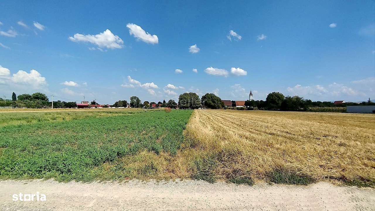 Teren Intravilan - Imagine principală: 5/9