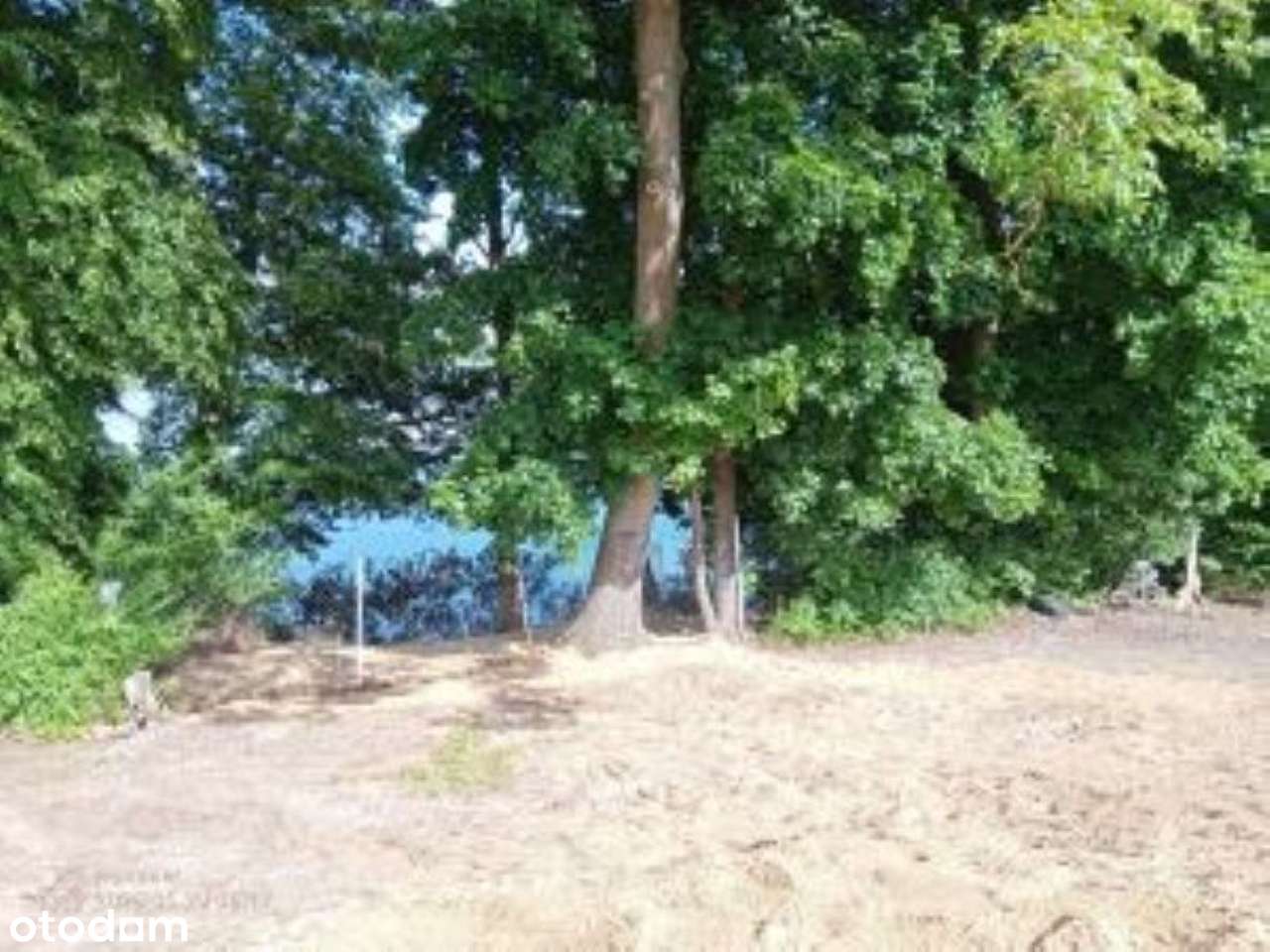 Działka z WZ, linią brzegową jeziora,prywatną plażą i winnicą - Pełny obrazek: 5/20