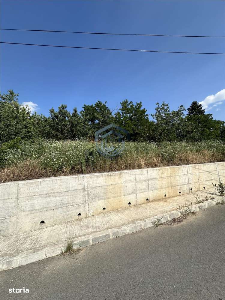 CASA DE VANZARE EPISCOPIA, Str. Dealului, 732 MP - Imagine principală: 5/7