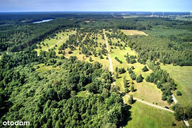 Na sprzedaż piękna działka nad jeziorem Dołgie-13