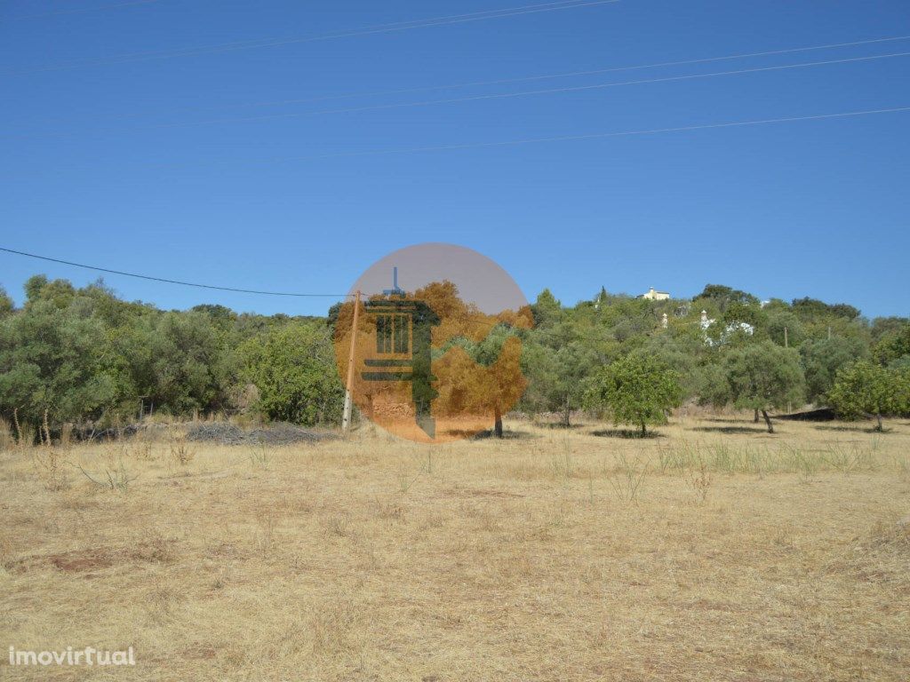 Terreno Rústico Desbarato, Santa Catarina da Fonte do Bispo