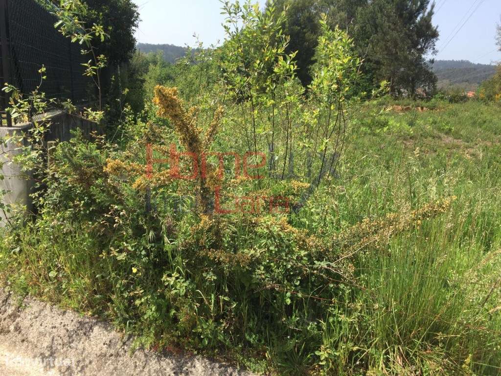 Terreno para construção em Oliveira de Azeméis - Grande imagem: 2/4