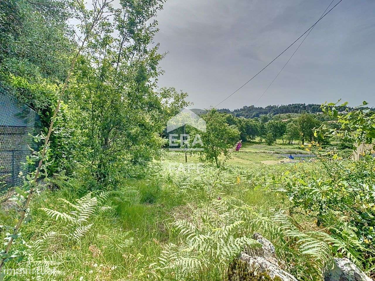 Terreno com 7.500 m2 em Quinchães - Grande imagem: 4/11