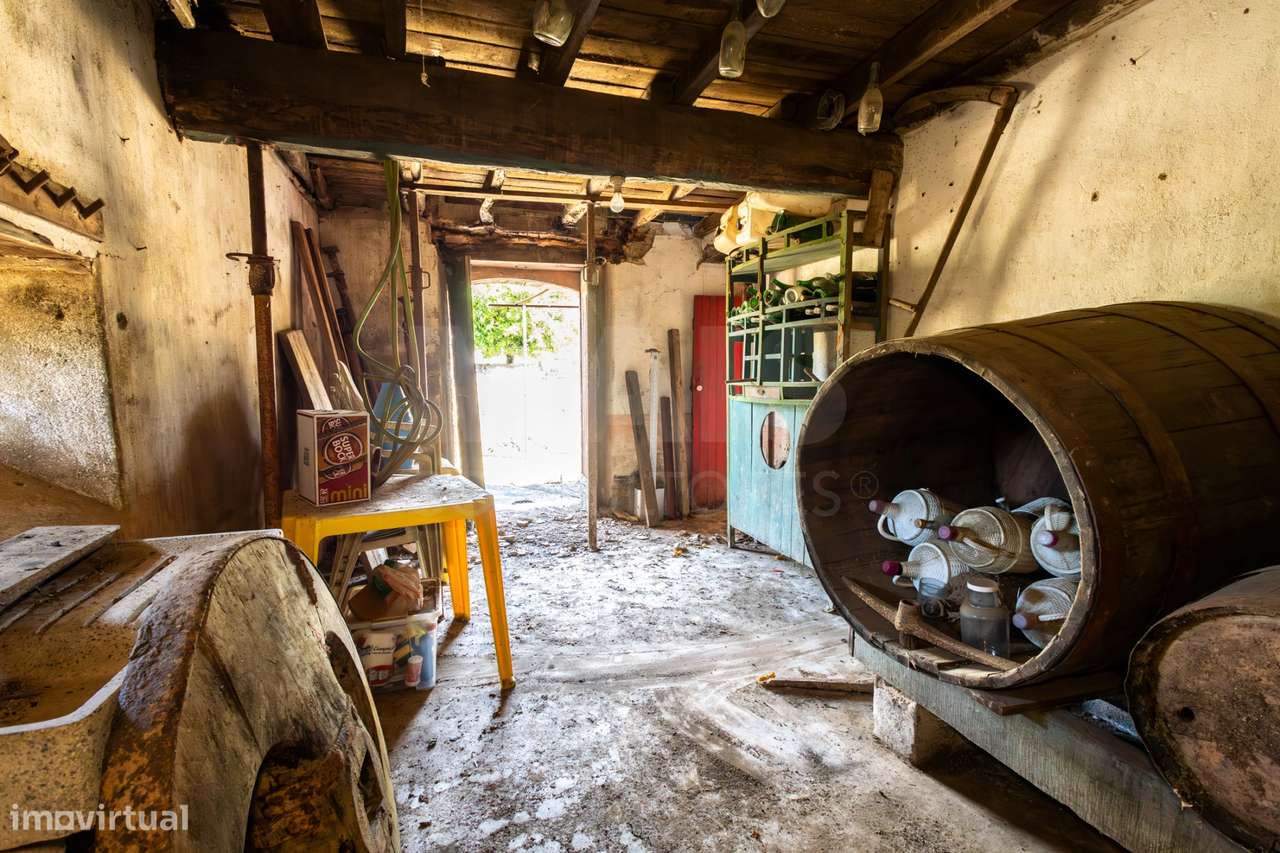 PROPRIEDADE DE CARÁTER NA N2 | 400 m² DE CONSTRUÇÃO, OLIVAL E POTEN...-31
