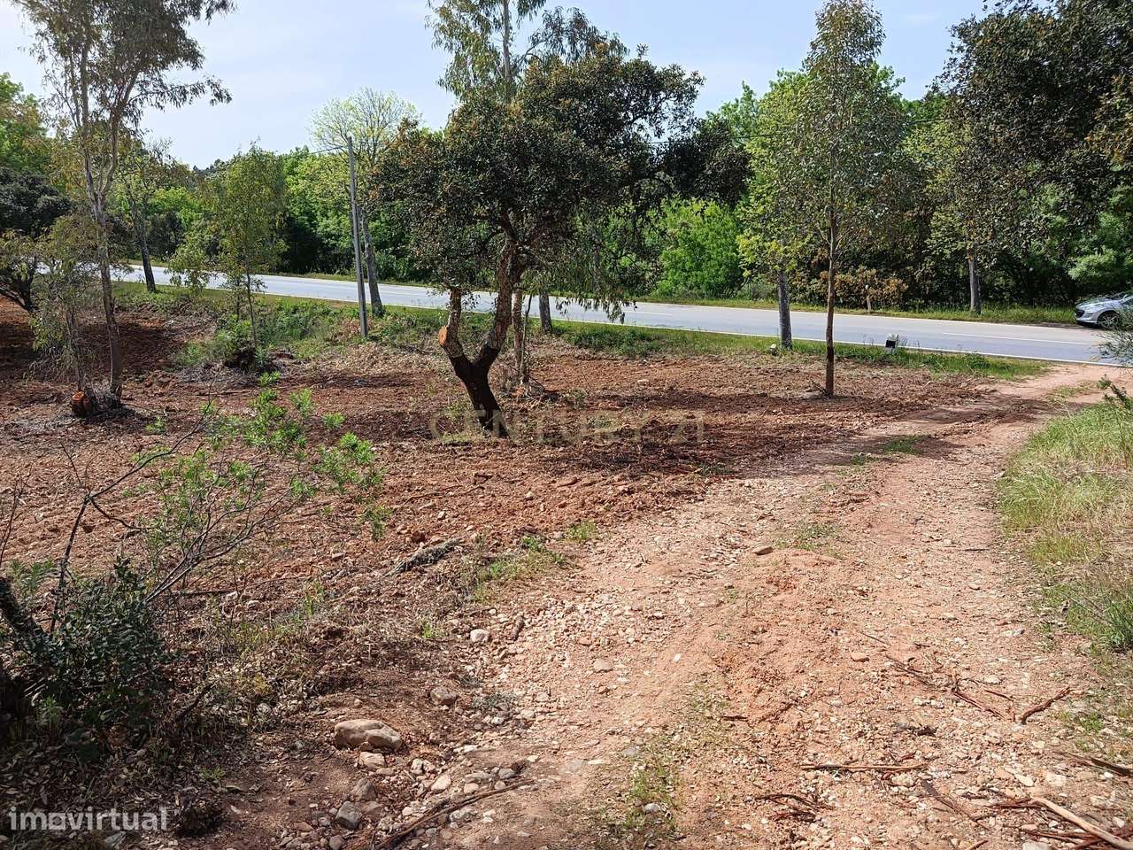 Terreno Rústico com 1.6ha Monfortinho-9