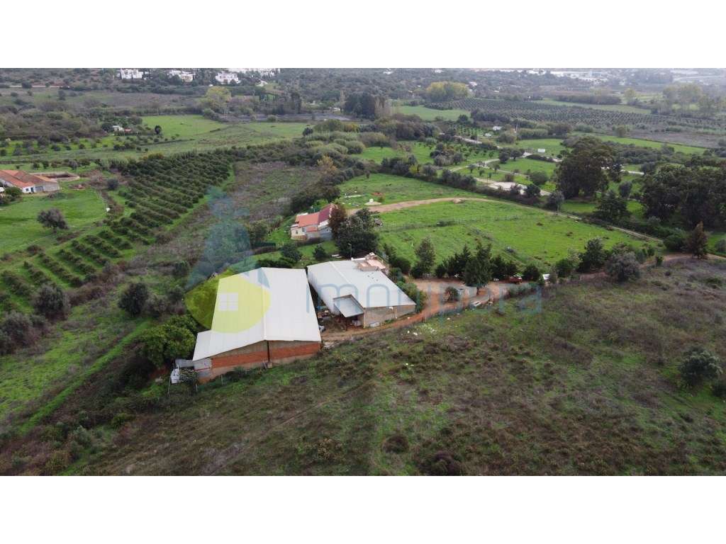 Terreno urbano e terreno rústico em Odiáxere para novo projeto. - Grande imagem: 3/36
