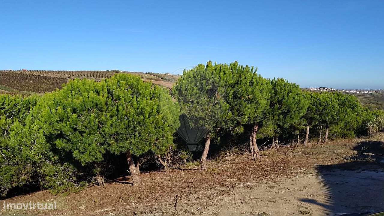 Quinta T2 para venda - Grande imagem: 5/11