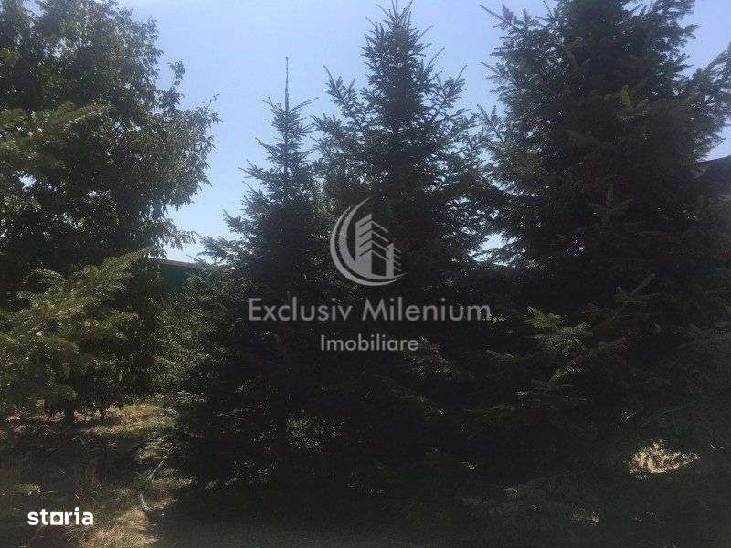 Casa la Padurea Rosu 650Mp + Teren ideal Activitati Comerciale/Birouri - Imagine principală: 5/13