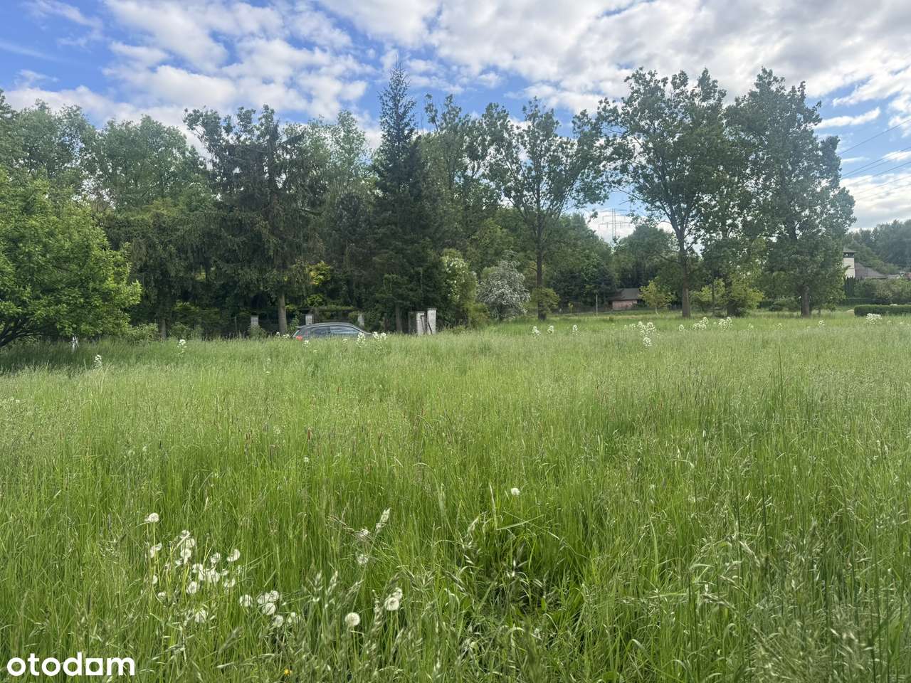 Działka budowlana 8 ar - Pełny obrazek: 4/4