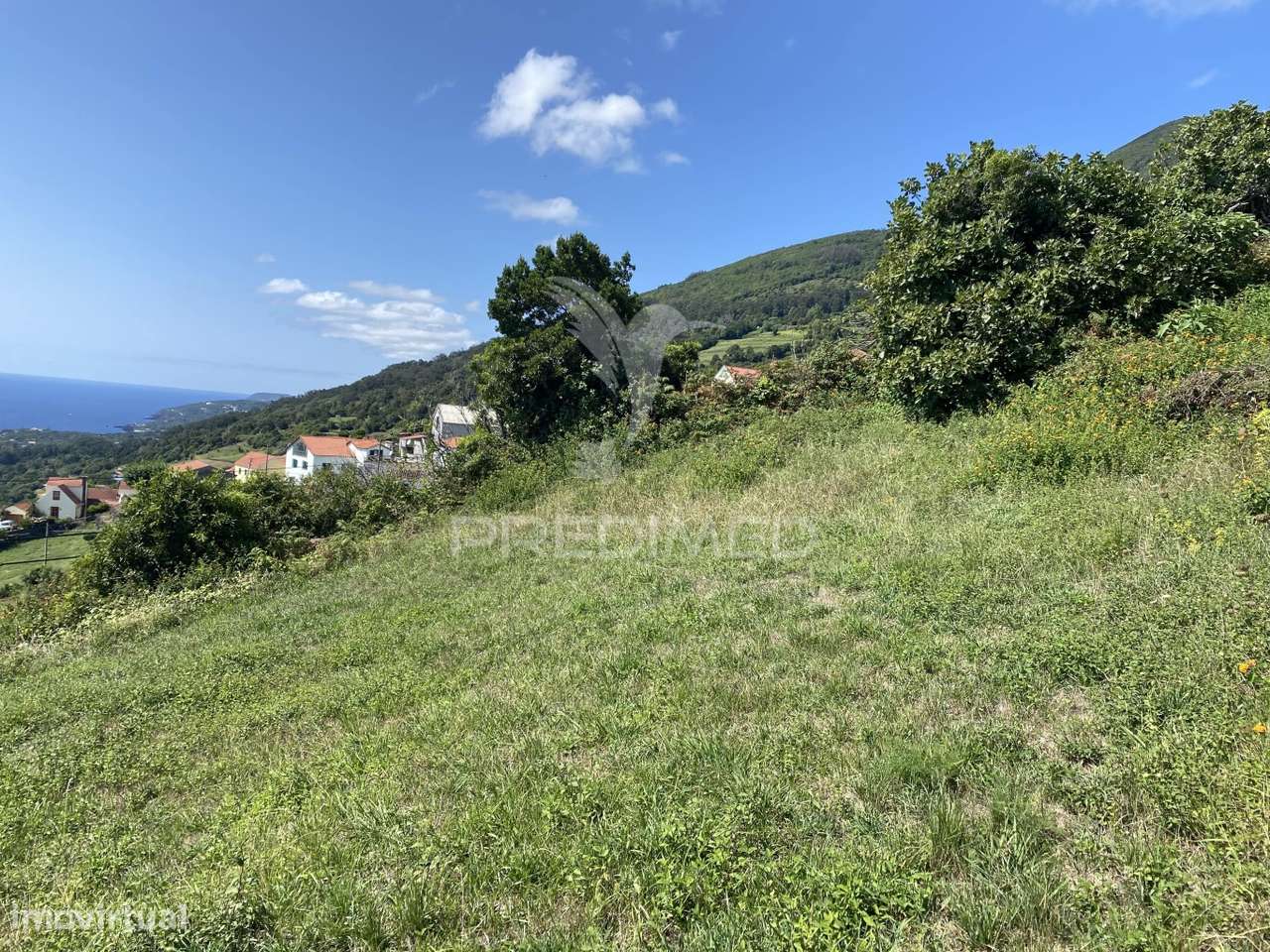 Terreno Urbanizável de 726 m² – Freguesia de Manadas - Grande imagem: 5/19