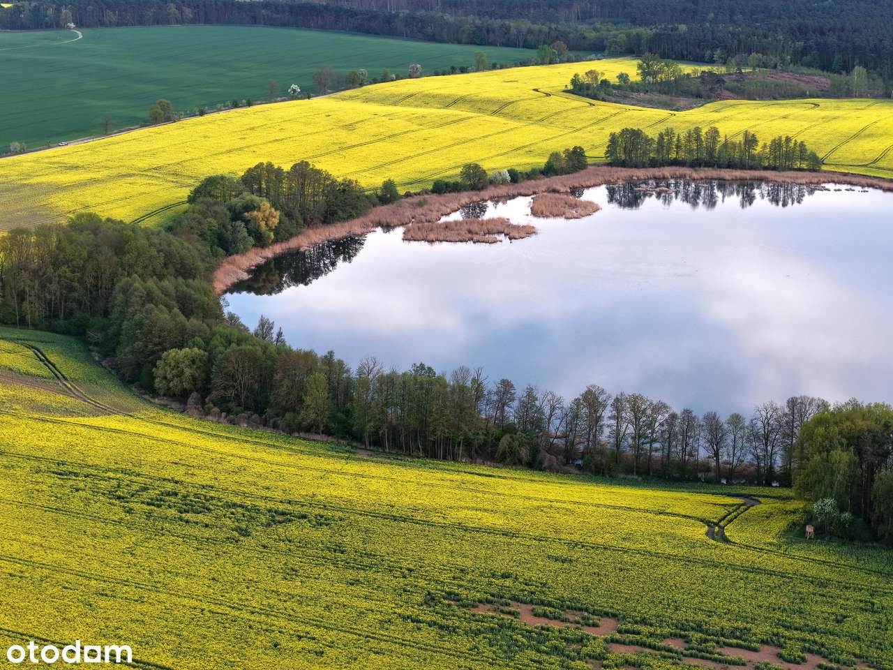 Zamieszkaj wśród drzew i jezior – 3233 m² ciszy dz. budowlana-6