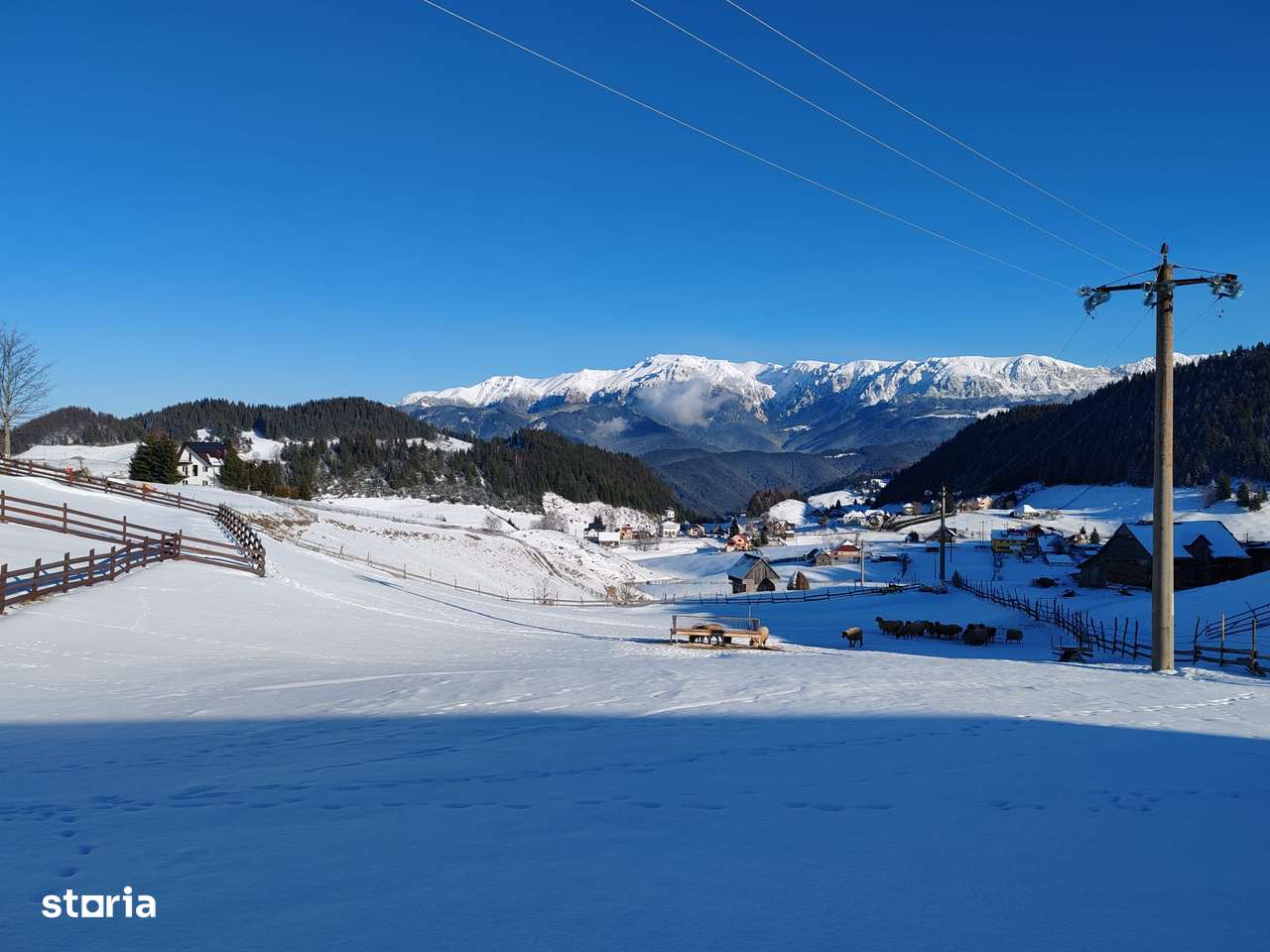 Teren Intravilan Fundata 1421Mp-5