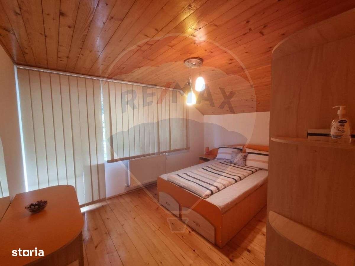 Cabana de vânzare în Valea Mănăstirii, Alba-14