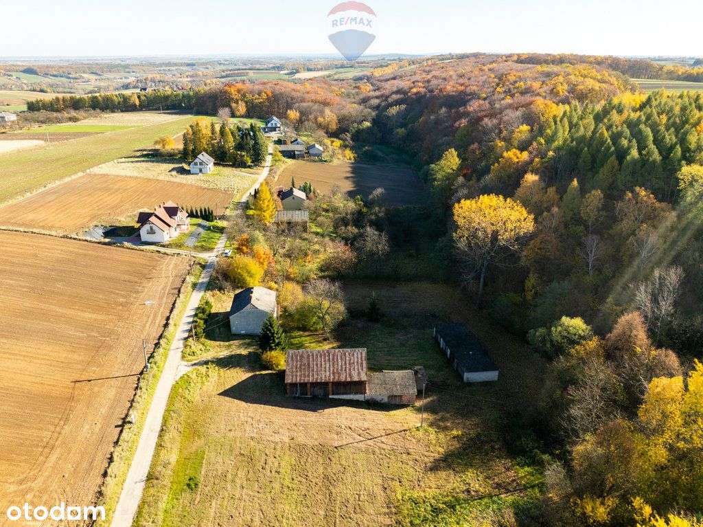 Dom w zaciszu w okolicy Ojcowskiego Parku - Pełny obrazek: 5/20