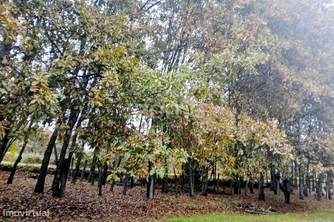 Terreno em Abraveses, Viseu - Grande imagem: 5/17