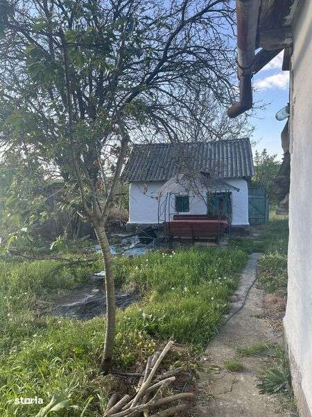 Casa de vanzare cu teren intravilan-Uileacu de munte - Imagine principală: 4/8