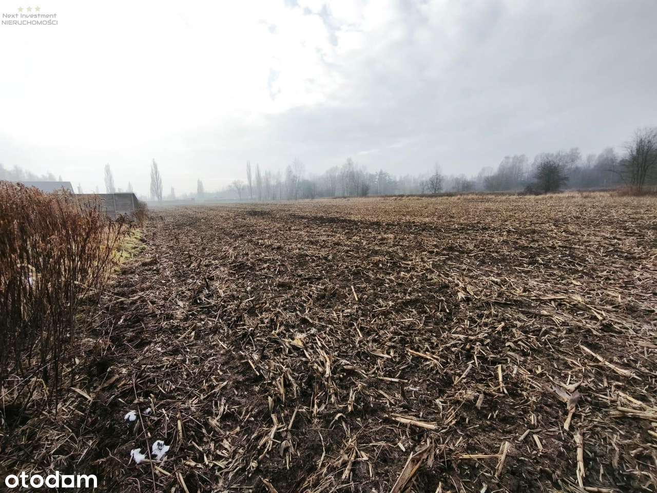Dwie działki w kolejnej linii zabudowy Dzierżno-9