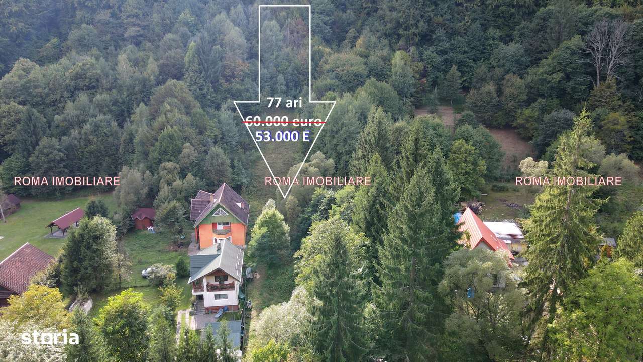 Blidari 77 ari teren de vanzare - Imagine principală: 4/9