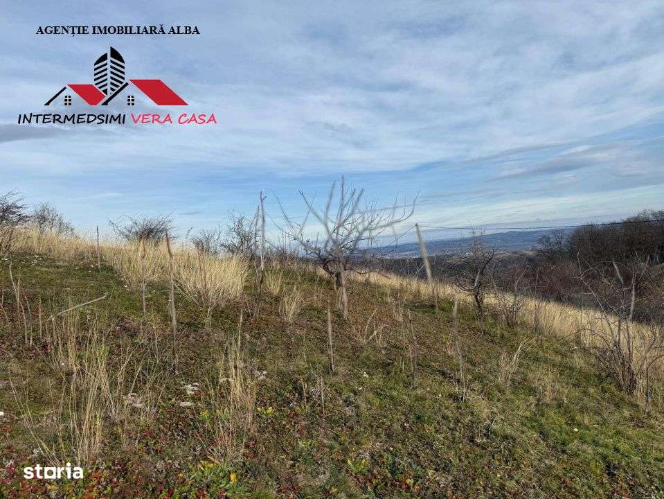 Teren extravilan de vanzare la perfiferia satului Inuri Jud Alba-12