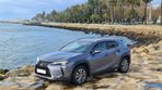 Lexus UX 300e Luxury - 12