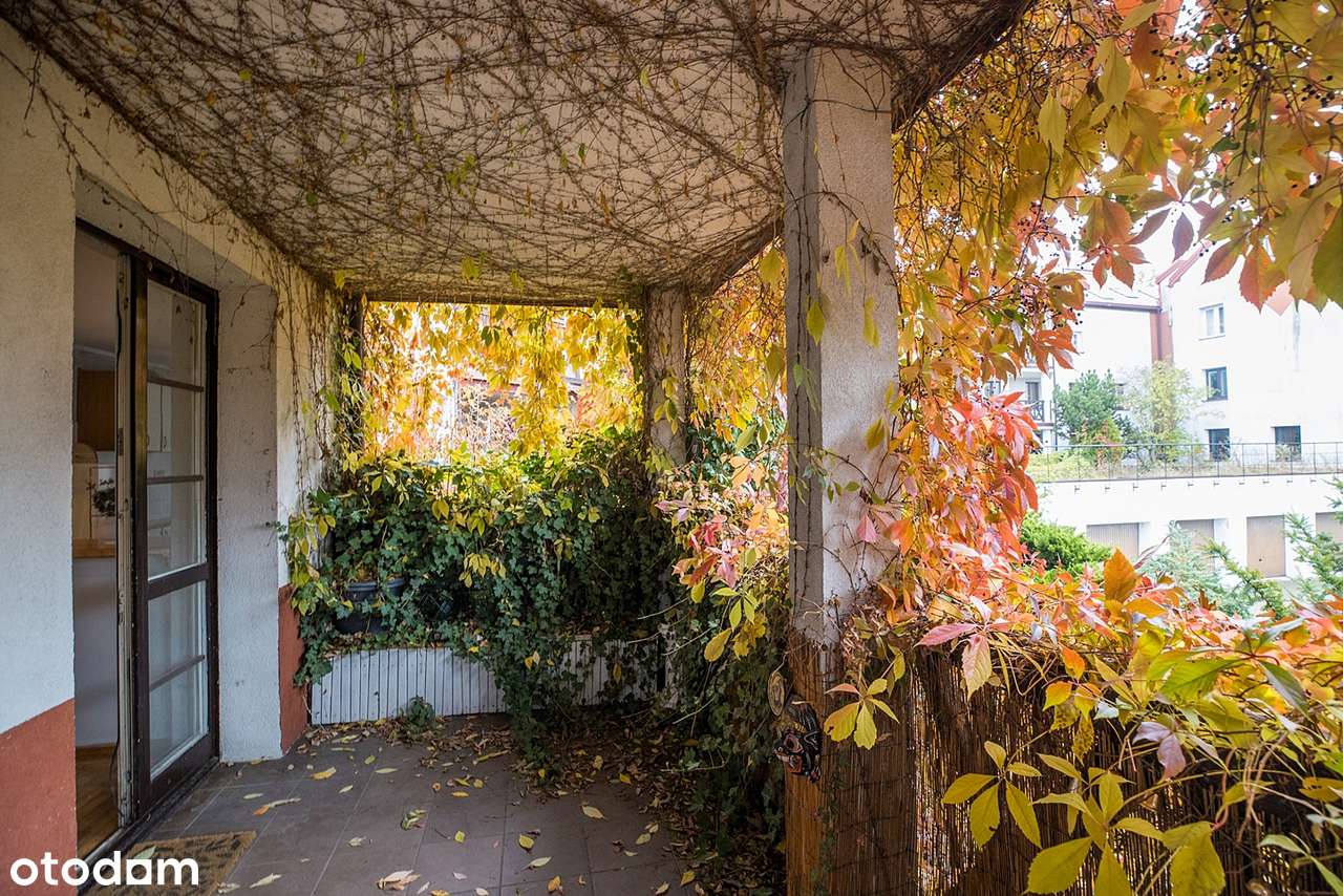 Grunty uregulowane / KW / prywatność / taras / 0% prowizji / zieleń-6