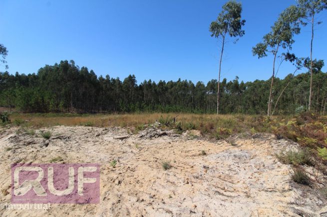 Lote de Terreno com projeto para moradia V4 em Souto da Carpalhosa ...-10