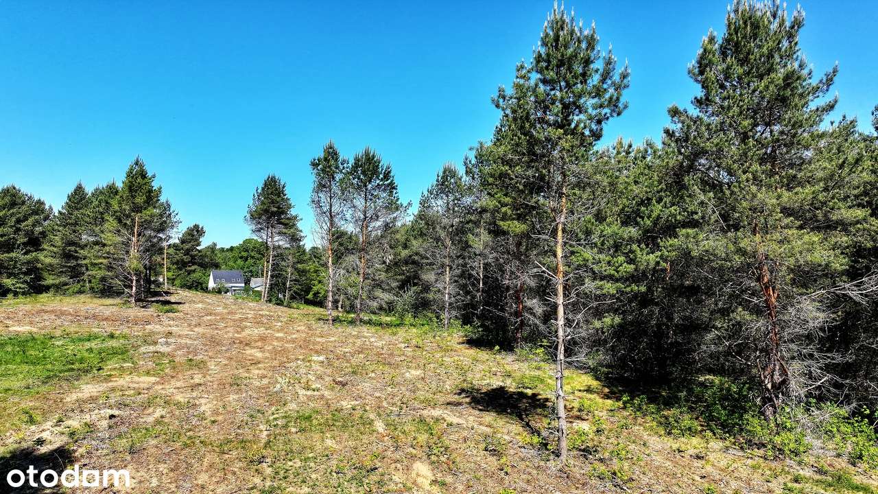 Działki budowalne w Krzynce przy lesie w spokojnej okolicy-1