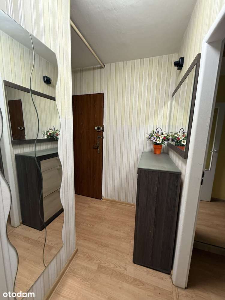 Mieszkanie 37,9m2 / Świetna lokalizacja / Idealne na wynajem - Pełny obrazek: 5/5