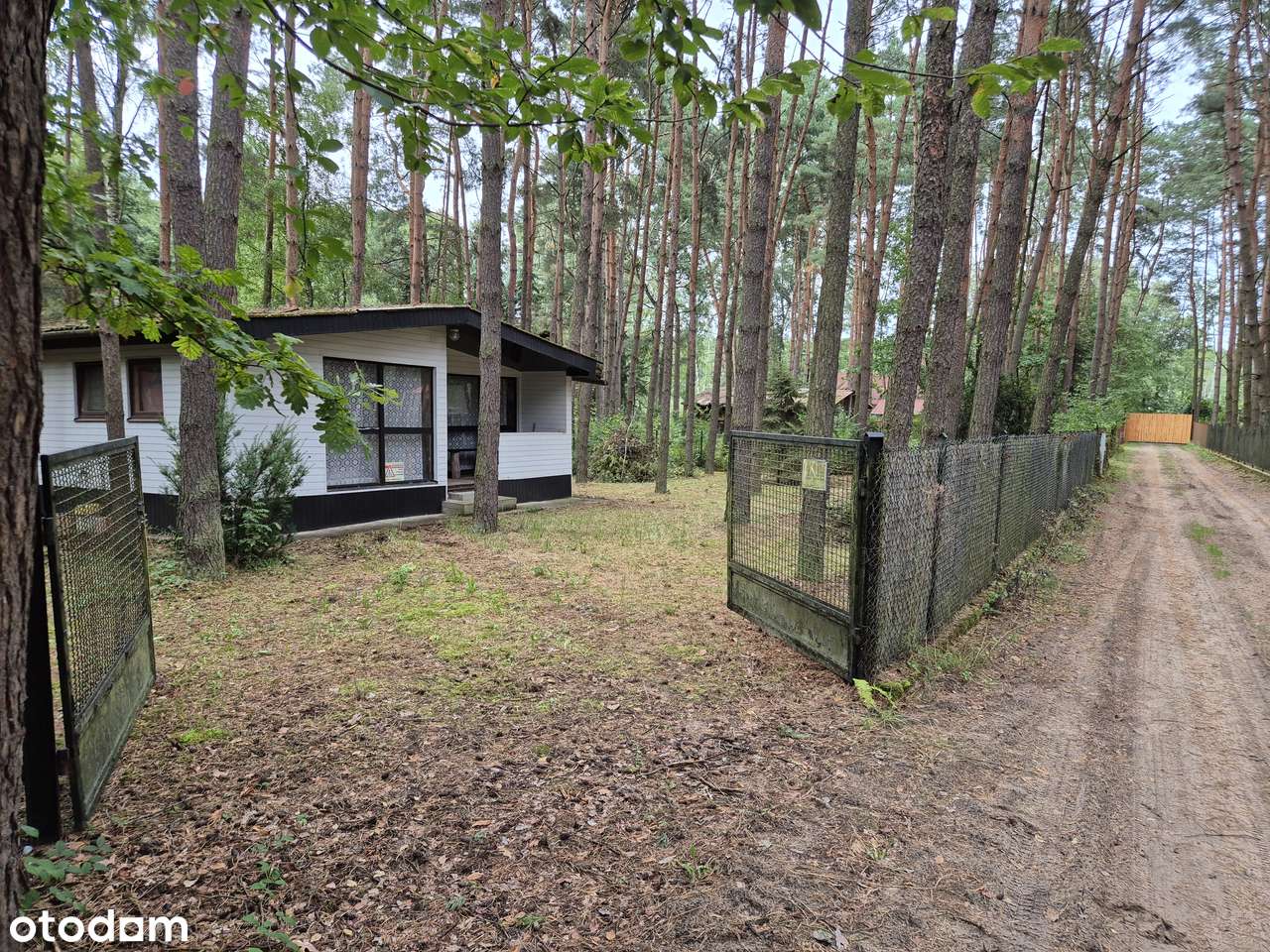 Działka 900 m² z domkiem letniskowym – Wrzosów (Jedlnia-Letnisko) - Pełny obrazek: 4/11