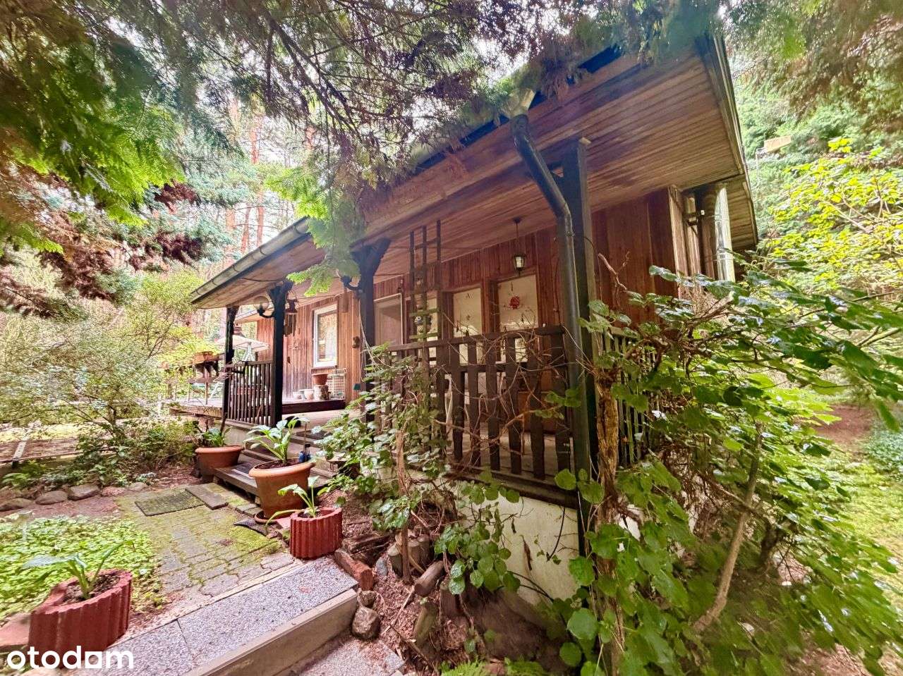 Drewniana leśniczówka | 1,5 ha | prywatny staw | 8 km od Sierakowa