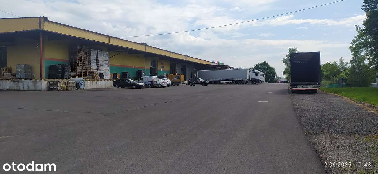 hala, magazyn,biura, produkcja 2390-540 m2 - Pełny obrazek: 5/6