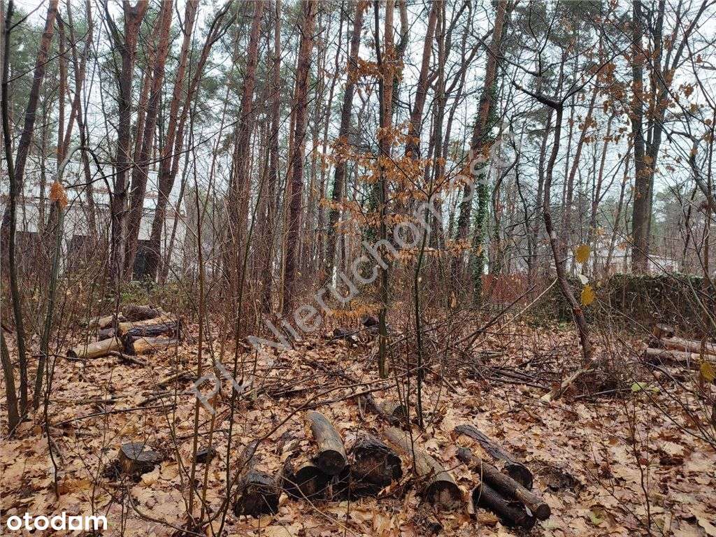 Działka 500 M od Wkd Podkowa Leśna! - Pełny obrazek: 4/6