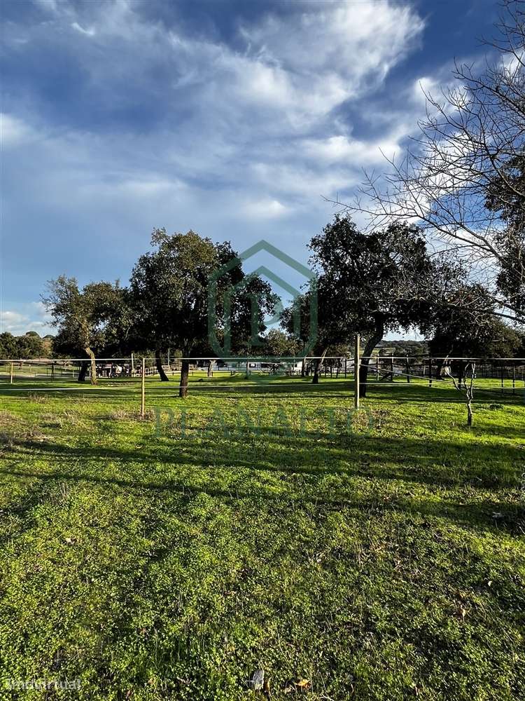 Quinta  Venda em Vendas Novas,Vendas Novas - Grande imagem: 5/16