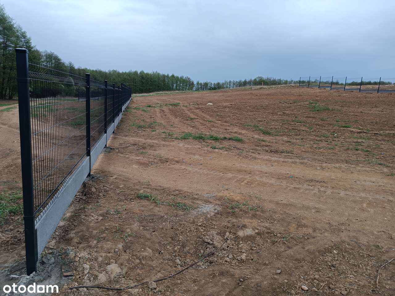 Działka budowlana na Morasku - Wzgórze Morenowe, 301/81 lub 82, VAT23% - Pełny obrazek: 4/12