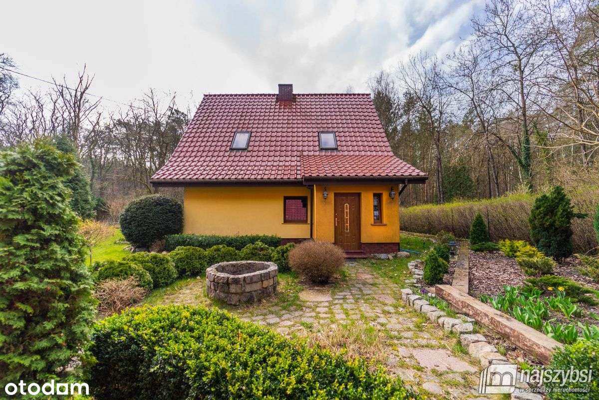 Stare Leśno - dom w sercu natury - Pełny obrazek: 5/20