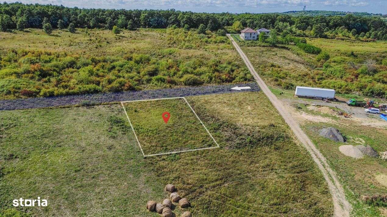 Teren intravilan de vanzare – 902 mp, Paleu, Bihor | PUZ aprobat - Imagine principală: 3/10