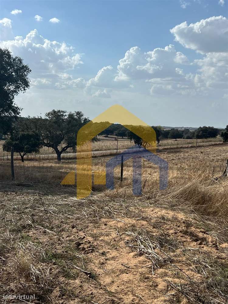 🏡 Quintinha em Monforte-16