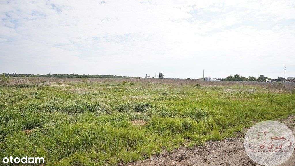 Działka z Mpzp 0,8 ha Dębienko k. Stęszewa-10