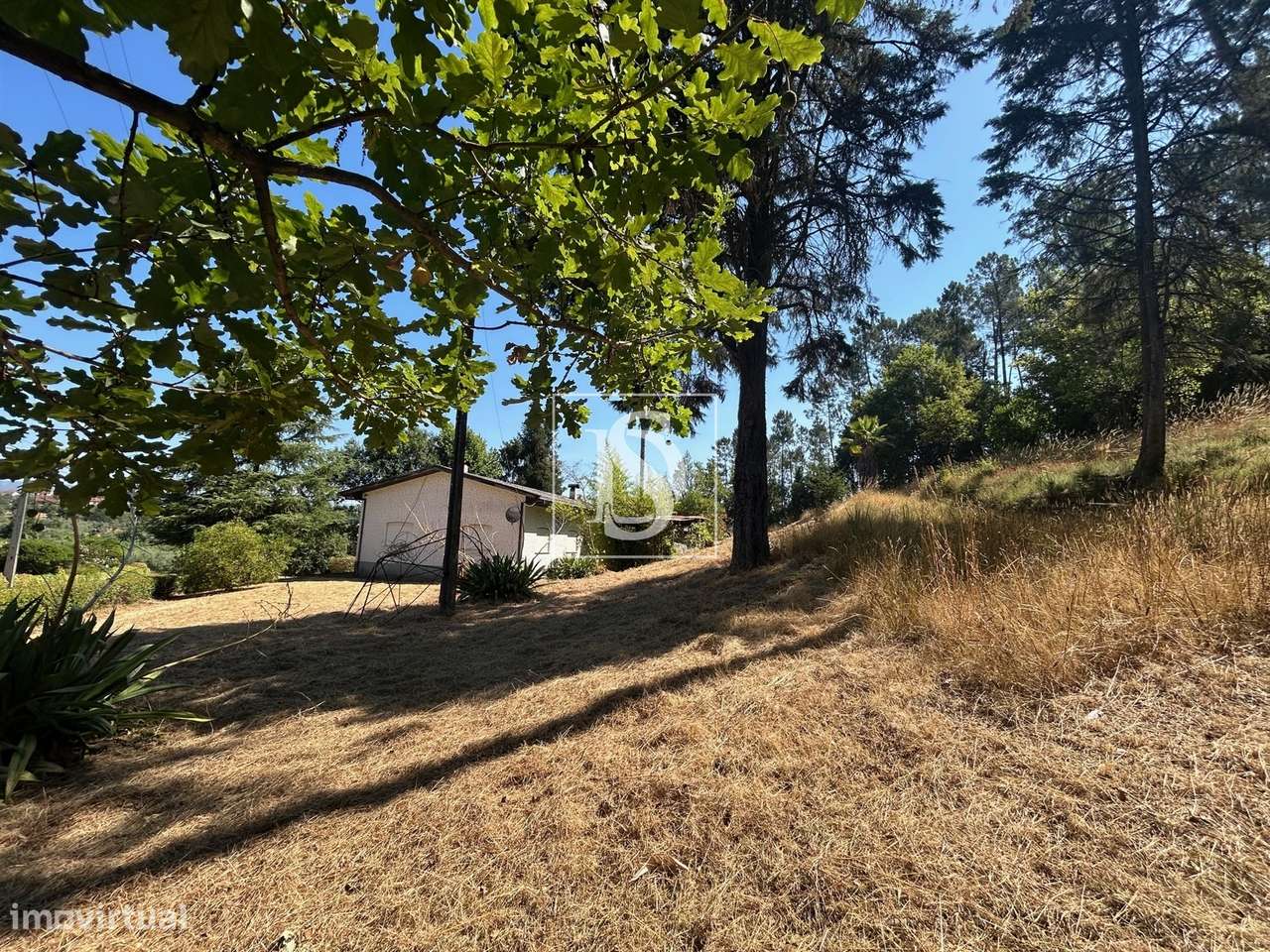 Quinta com 24.300m² em Vale de Açores, Mortágua-59