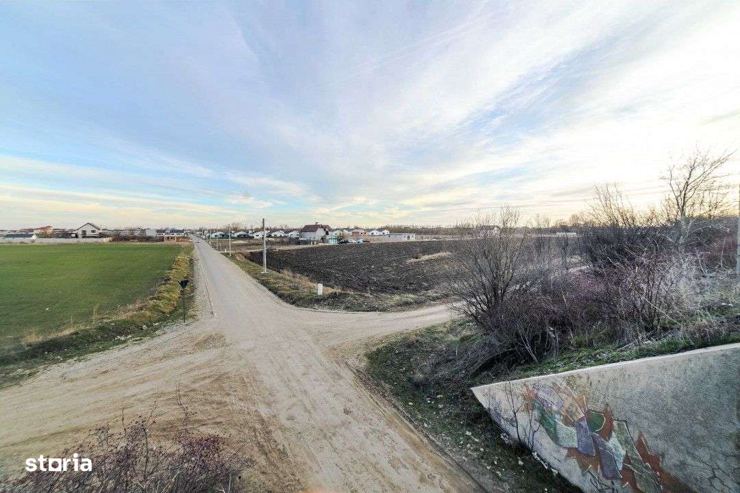 Teren 6000mp*Domnesti*Salciei-Haltei-Ciocarliei*Drum asfaltat cu utili - Imagine principală: 5/11