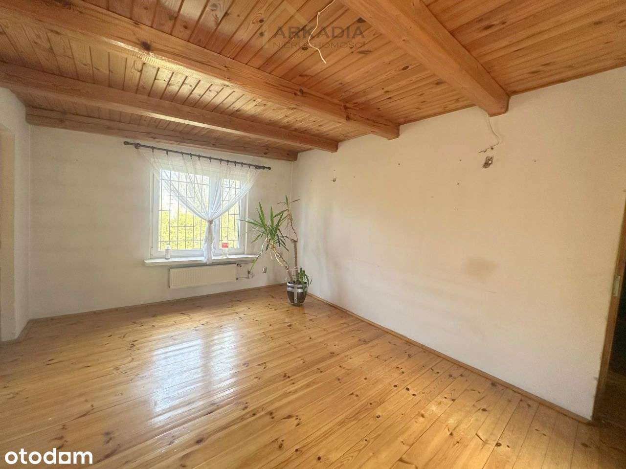 Nieruchomość na dużej leśnej działce - Pełny obrazek: 4/13