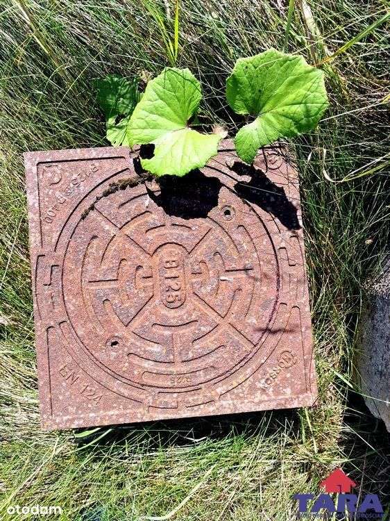 Działka blisko dwóch jezior!-6