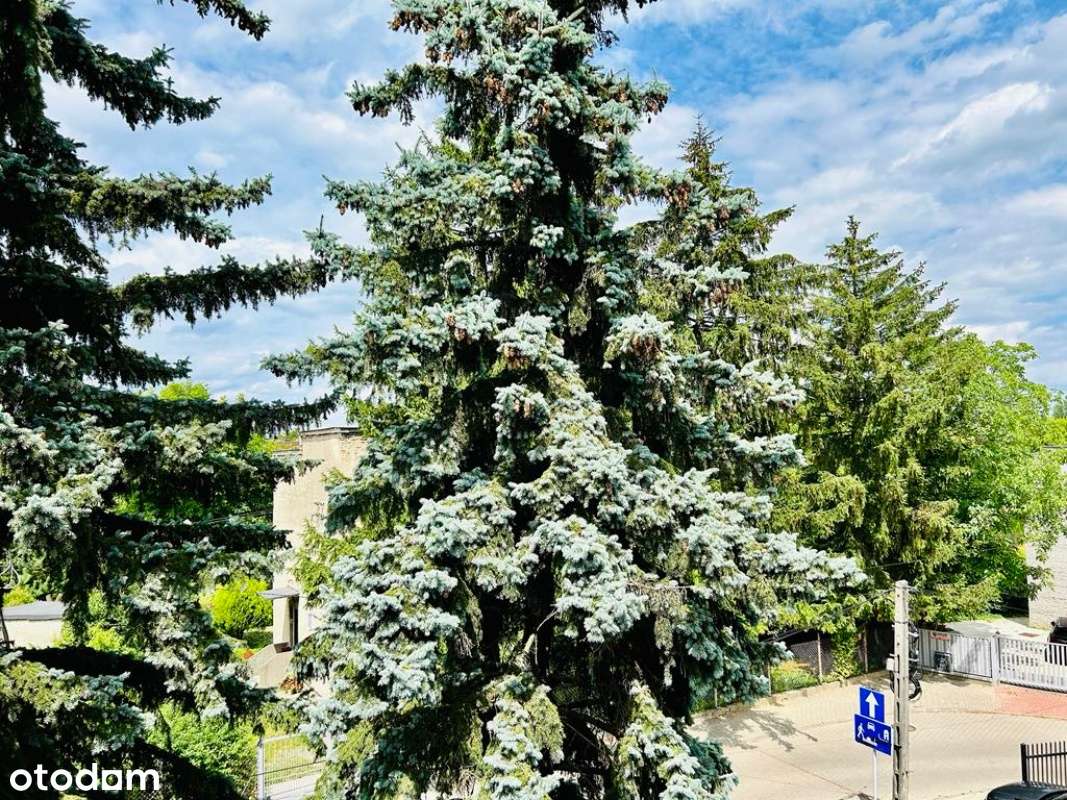 "Nowoczesna mikro-kawalerka – Gotowa do wejścia"-9