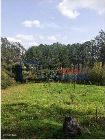 Terreno rústico - 258.814 m2 - Alenquer, Lisboa - Grande imagem: 5/6