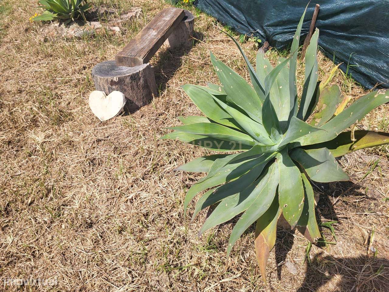 Moradia T2+2 – Quinta da Morgadinha, Charneca da Caparica - Grande imagem: 5/34