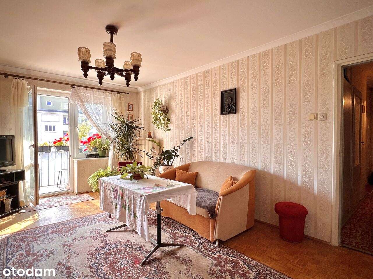 2 pokoje w Centrum Poznania - ul. Karmelicka, przy samym AWF-ie - Pełny obrazek: 5/18